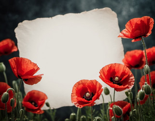 Similar image 22426490