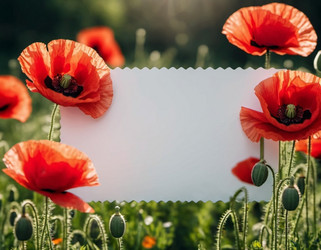 Similar image 22426519