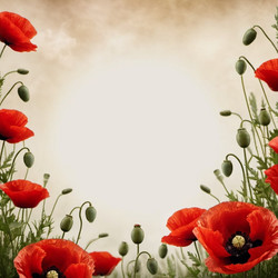 Similar image 22426527