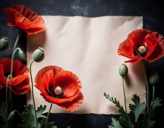 Similar image 22426530