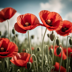 Similar image 22426536