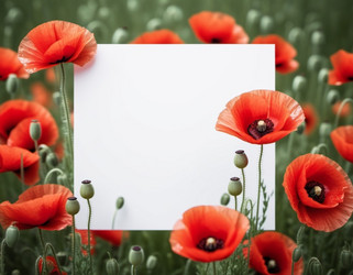 Similar image 22426539