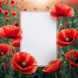 Similar image 22426550