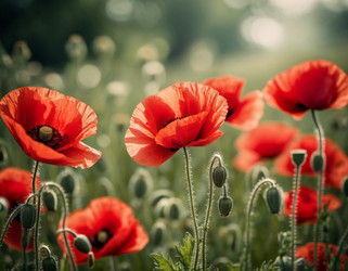 Similar image 22426565