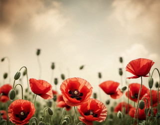 Similar image 22426583