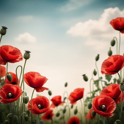 Similar image 22426591