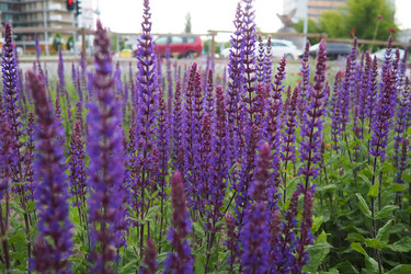 Similar image 22443454