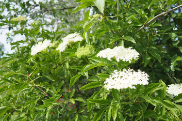 Similar image 22443456