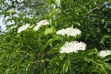 Similar image 22443457