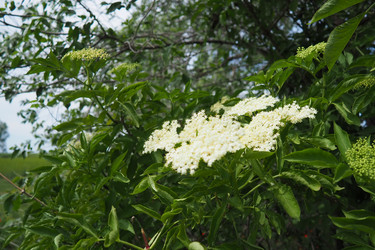 Similar image 22443459