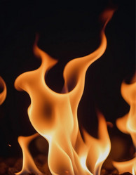 Similar image 22445019