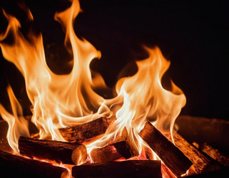 Similar image 22445023