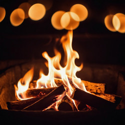 Similar image 22445027