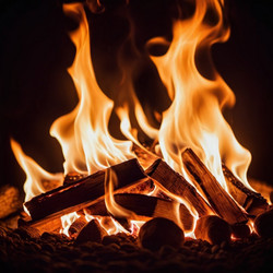 Similar image 22445028