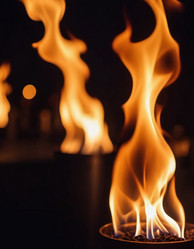 Similar image 22445084