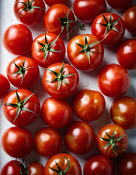 Similar image 22445090