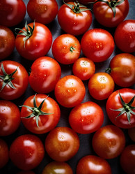 Similar image 22445091