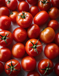 Similar image 22445094