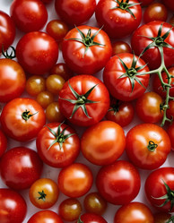 Similar image 22445096