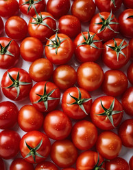 Similar image 22445099