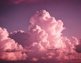 Similar image 22445122