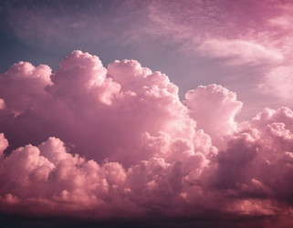 Similar image 22445123