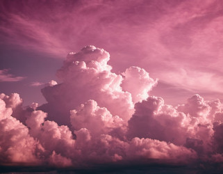 Similar image 22445124