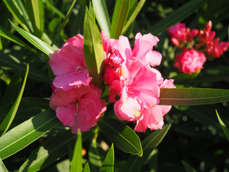 Similar image 22445375