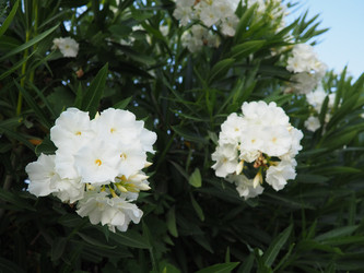 Similar image 22445376