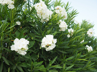 Similar image 22445378