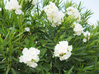 Similar image 22445381