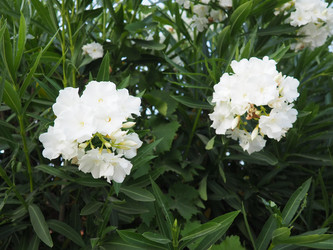 Similar image 22445382