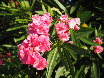 Similar image 22445383