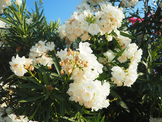 Similar image 22445385