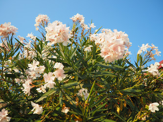 Similar image 22445386