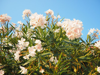 Similar image 22445387