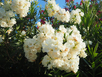 Similar image 22445388