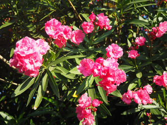 Similar image 22445389