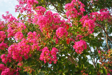 Similar image 22445391