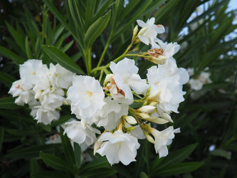 Similar image 22445393