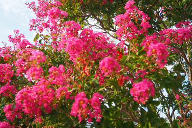 Similar image 22445394