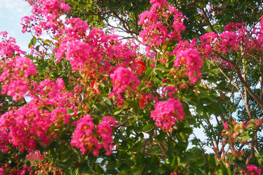 Similar image 22445395