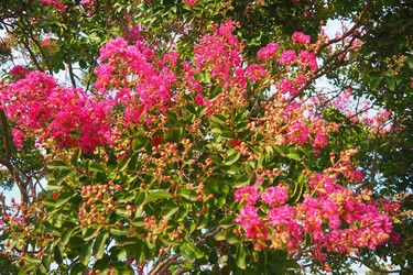 Similar image 22445396