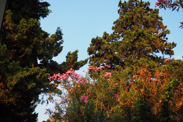 Similar image 22445400