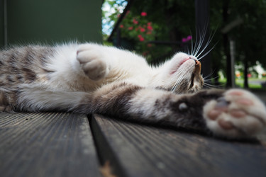 Similar image 22445503