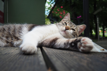 Similar image 22445504