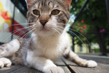 Similar image 22445505