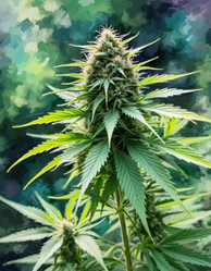 Similar image 22445541