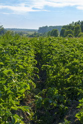 Similar image 22474034