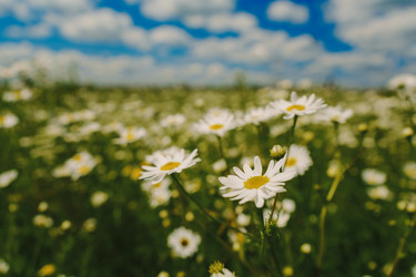 Similar image 22473994